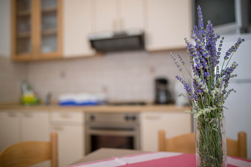 Apartmani Marin Borić u Loparu