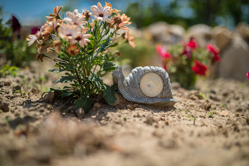 Apartmani Marin Borić u Loparu