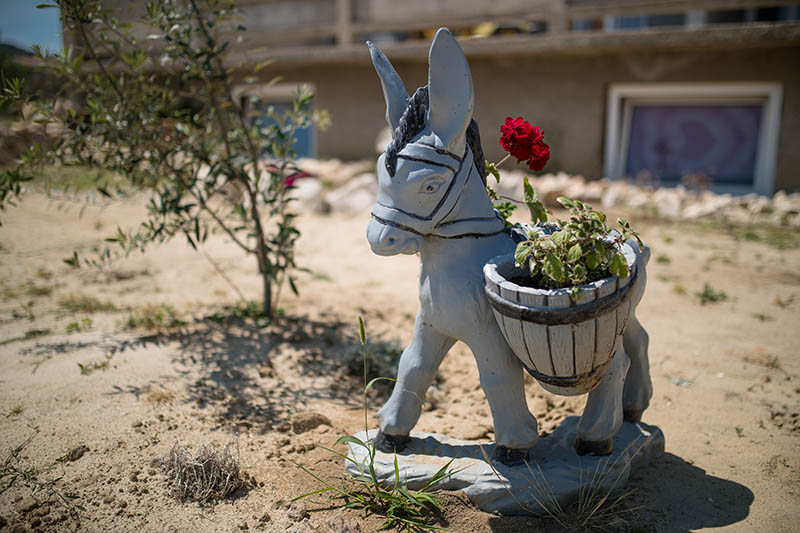 Apartmani Marin Borić u Loparu