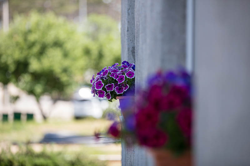 Apartmani Marin Borić u Loparu