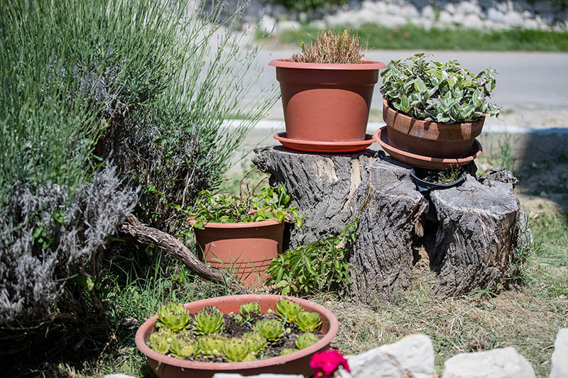 Apartmani Marin Borić u Loparu