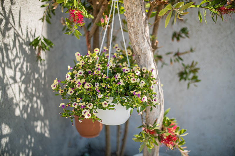 Apartmani Marin Borić u Loparu